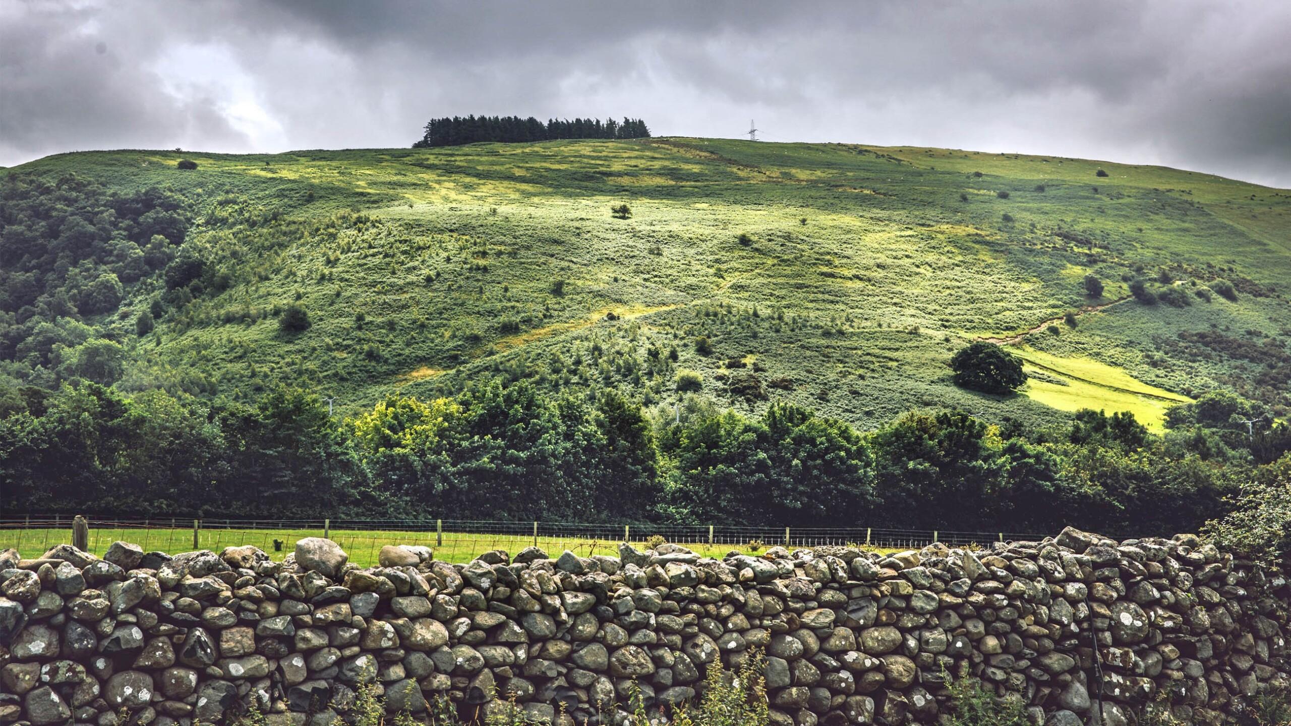 Image of a green landscape