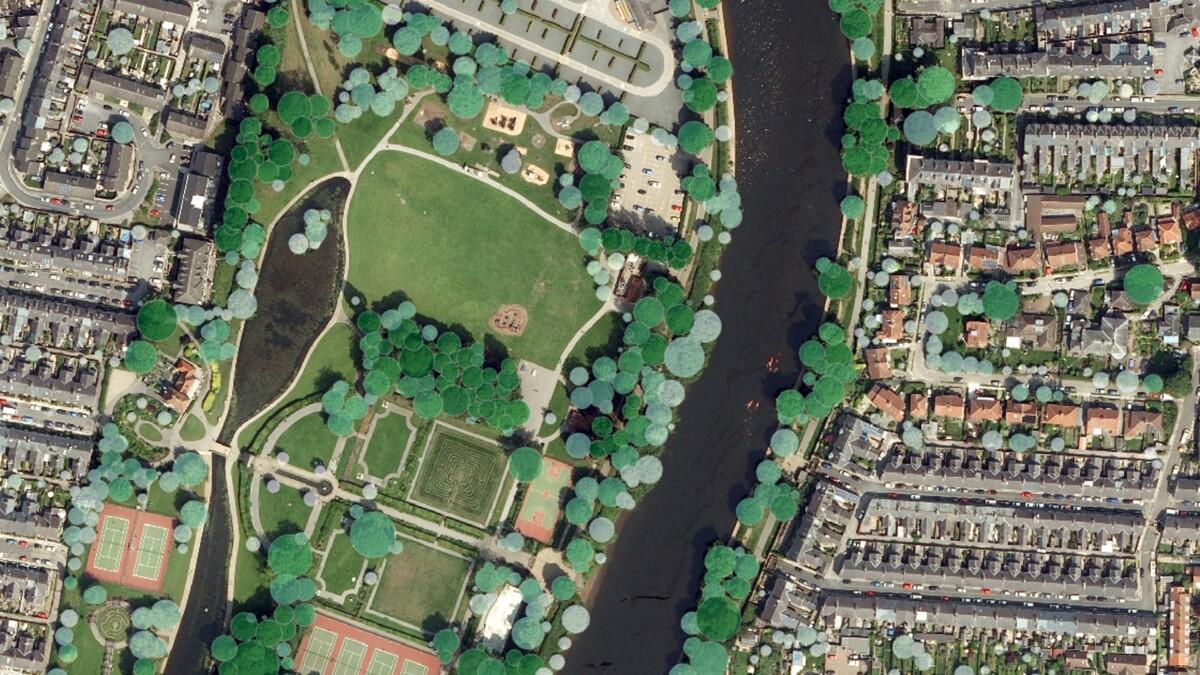 Tree Carbon Capture Figures are More Accurate Thanks to Bluesky’s