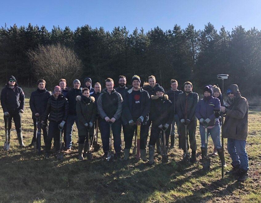 Bluesky colleagues in the National Forest planting trees