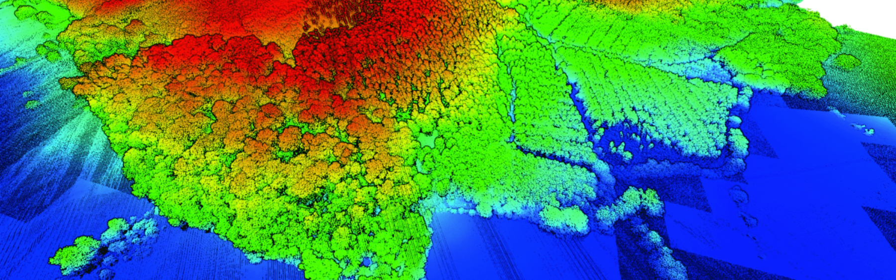 LiDAR data of a forested area and surrounding land and fields