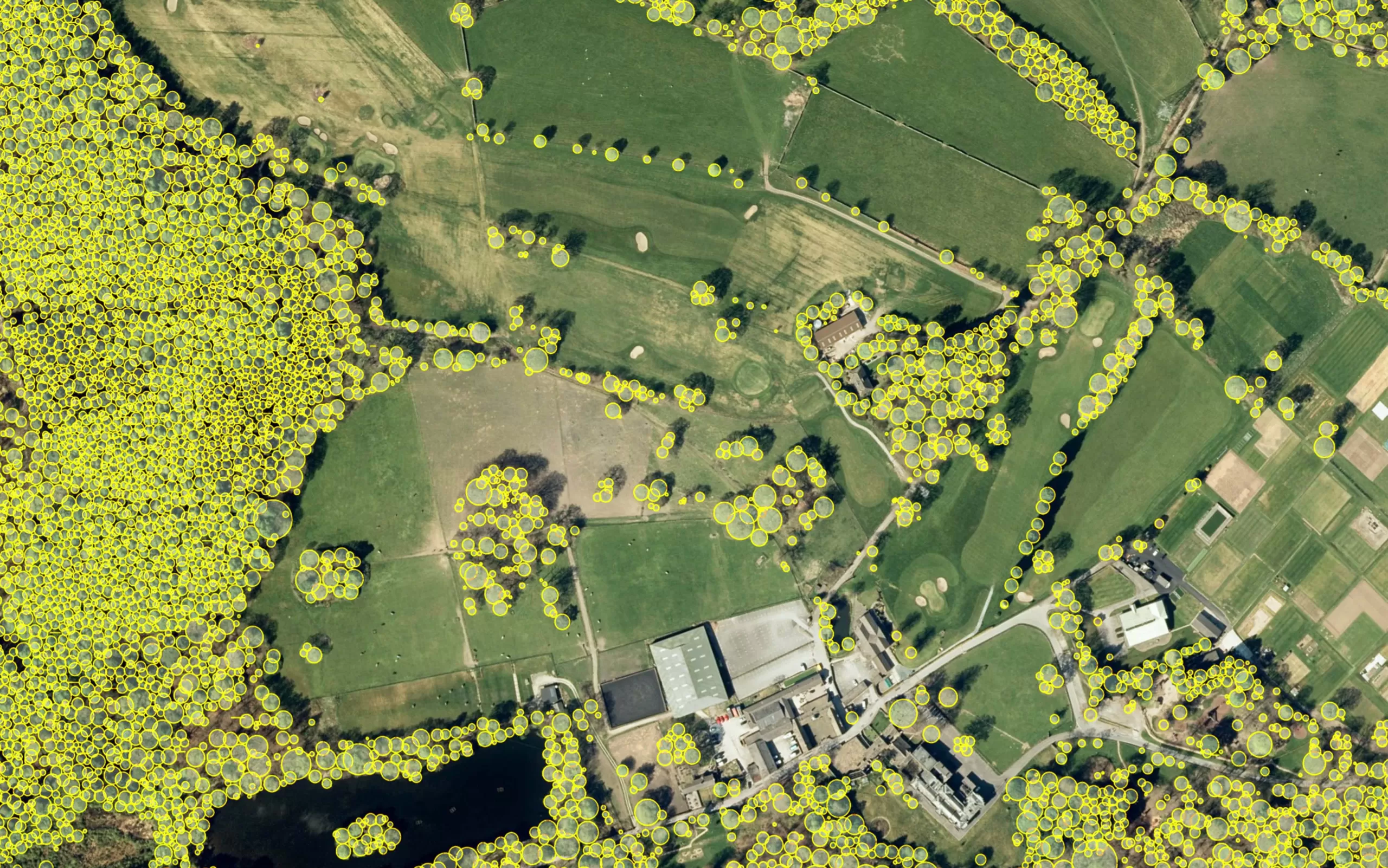 Bluesky_St. Ives Estate_Bingley_NTM