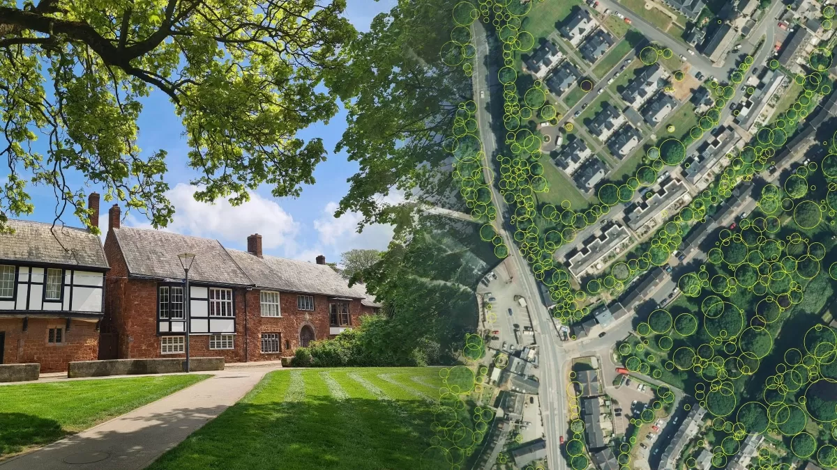 Houses in close proximity to trees in a residential street