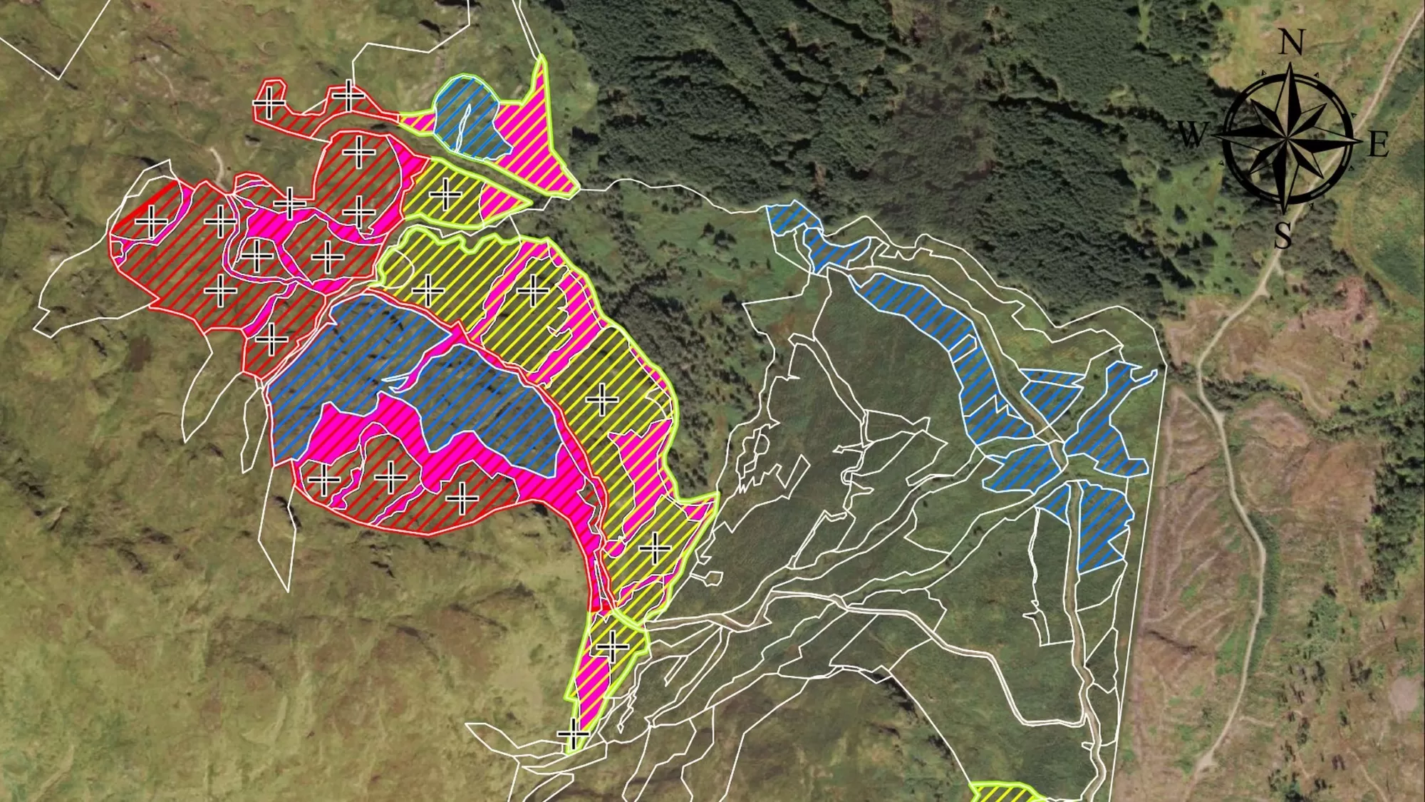 Aerial photograph of a forested area with zones highlighted in a variety of colours