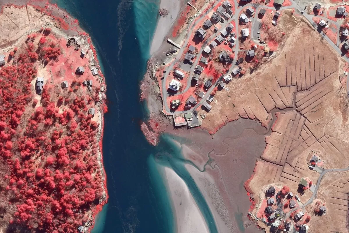 Colour Infrared imagery of a riverside area with trees and residential buildings