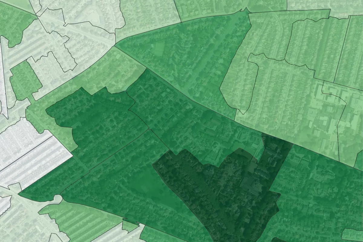 GIS data showing canopy cover over an urban area