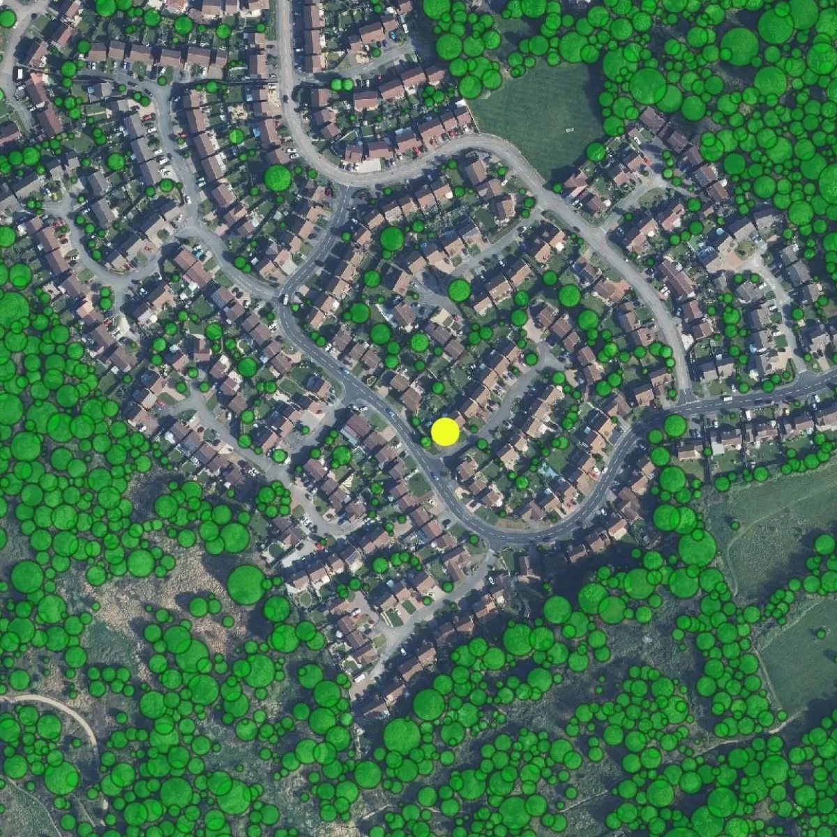 image of a house highlighting the how many trees are in the area - the 2nd rule of 3+30+300