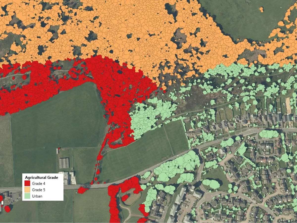 NTM Plus showing Trees categorised by land type