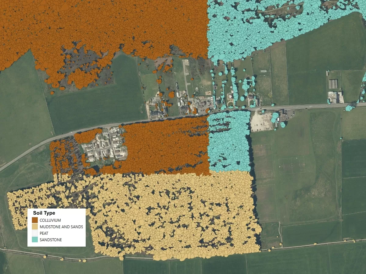 NTM Plus showing trees categorised by soil type